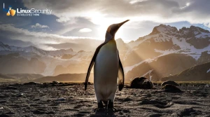 Linux Kernel 6.7 Released with Various Security Improvements