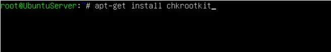 Chkrootkit1 Esm W655