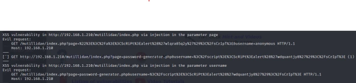 MutillidaeWapiti XSS Vulnerablity Terminal Esm W700