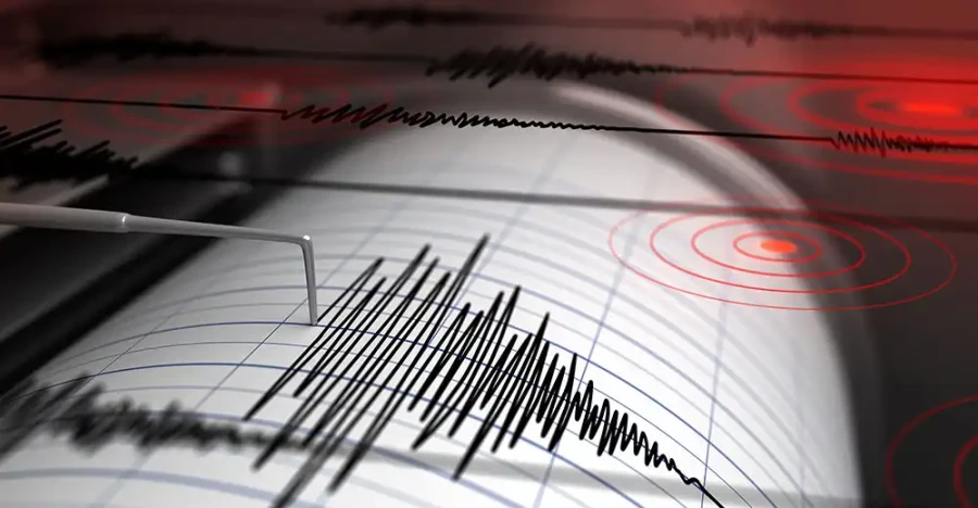 Seismograph Esm W900