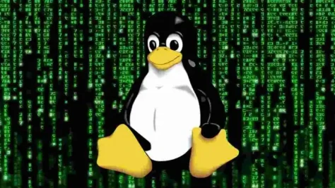 17-Yr-Old RCE Flaw Can Hack Several Linux Systems 