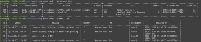 Crowdsec Checking Results Esm W400