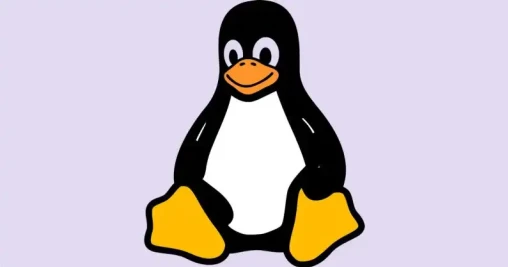 Linux kernel will no longer use terms ‘blacklist’ and ‘slave’