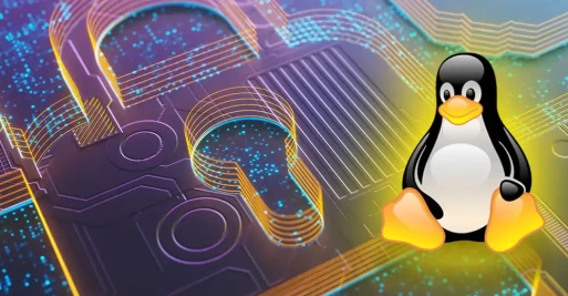 Google’s Vested Interest in Linux Security