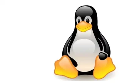 Linux kernel bug opens door to all manner of attacks