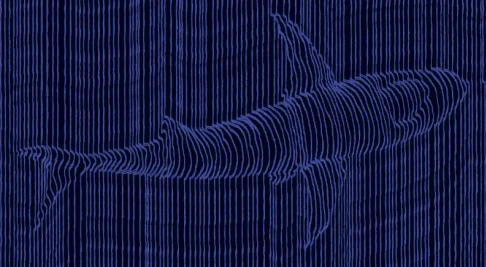 Pwning the pen tester: Malicious Wireshark packet capture file risk revealed