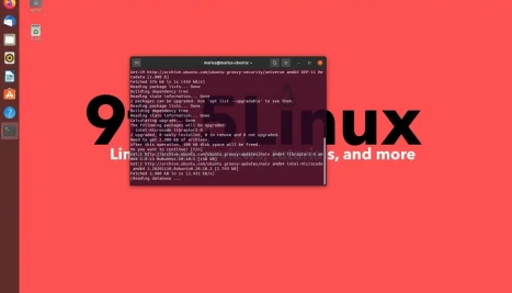 Canonical Reverts Intel Microcode Update in Ubuntu Due to Boot Failures in Tiger Lake Systems