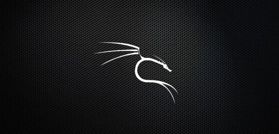 Kali Linux Honeycomb Esm W900