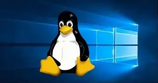 Microsoft Says Important Windows 10 Fix for Linux Users is Coming