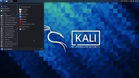 Kali Linux hands-on: A look at the installation options