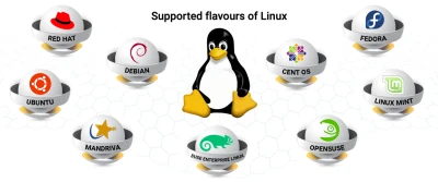 Supported Linux Flavors Esm W400