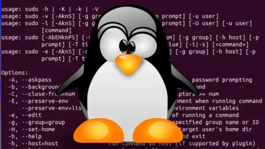 Linux Sudo Bug 696x392 Esm W900