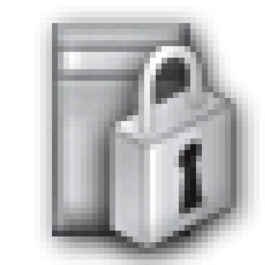 Serversecurity Icon Esm W900